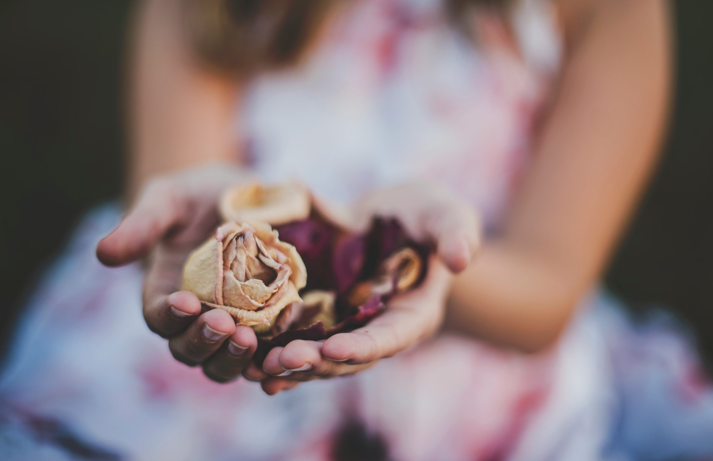 Understanding Trauma: Exploring The Foundation And Path To Healing