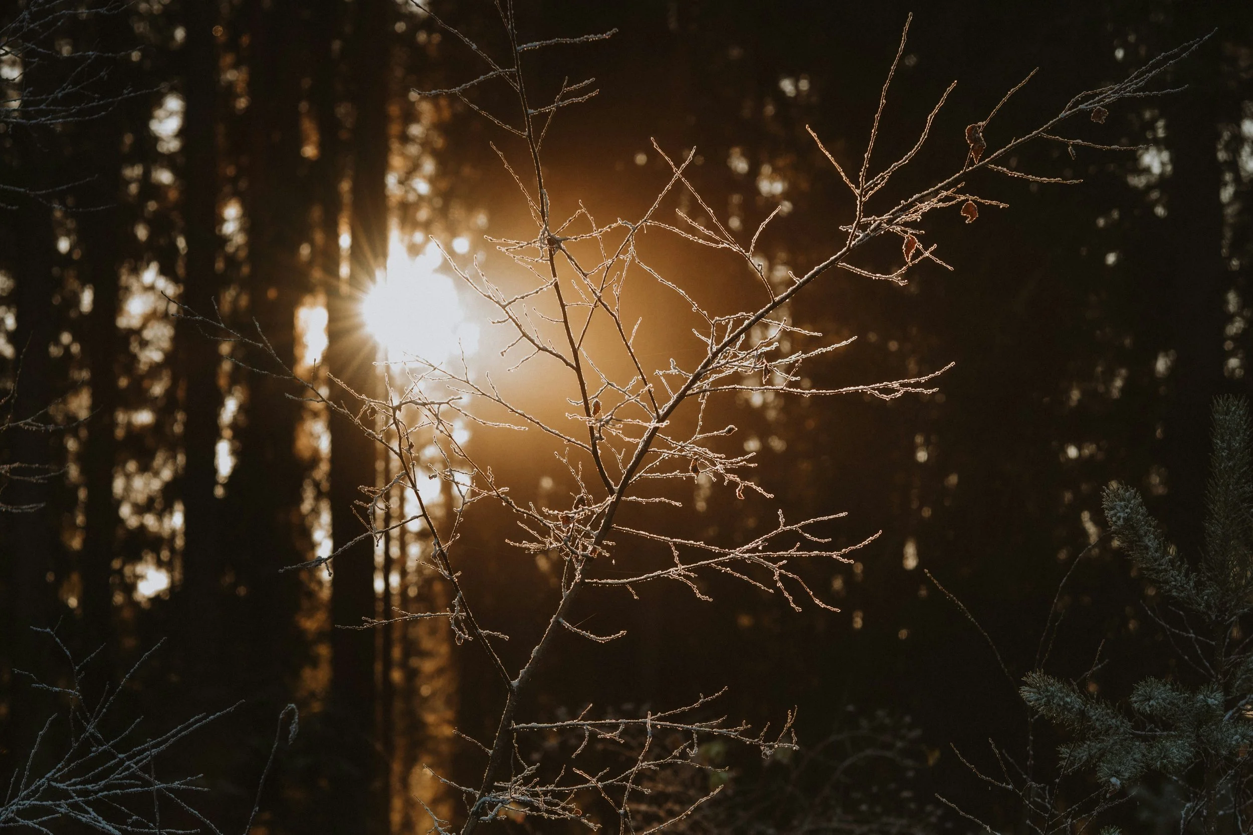 When the Year Turns Quiet: How to Find Yourself Again in a Season of Overwhelm