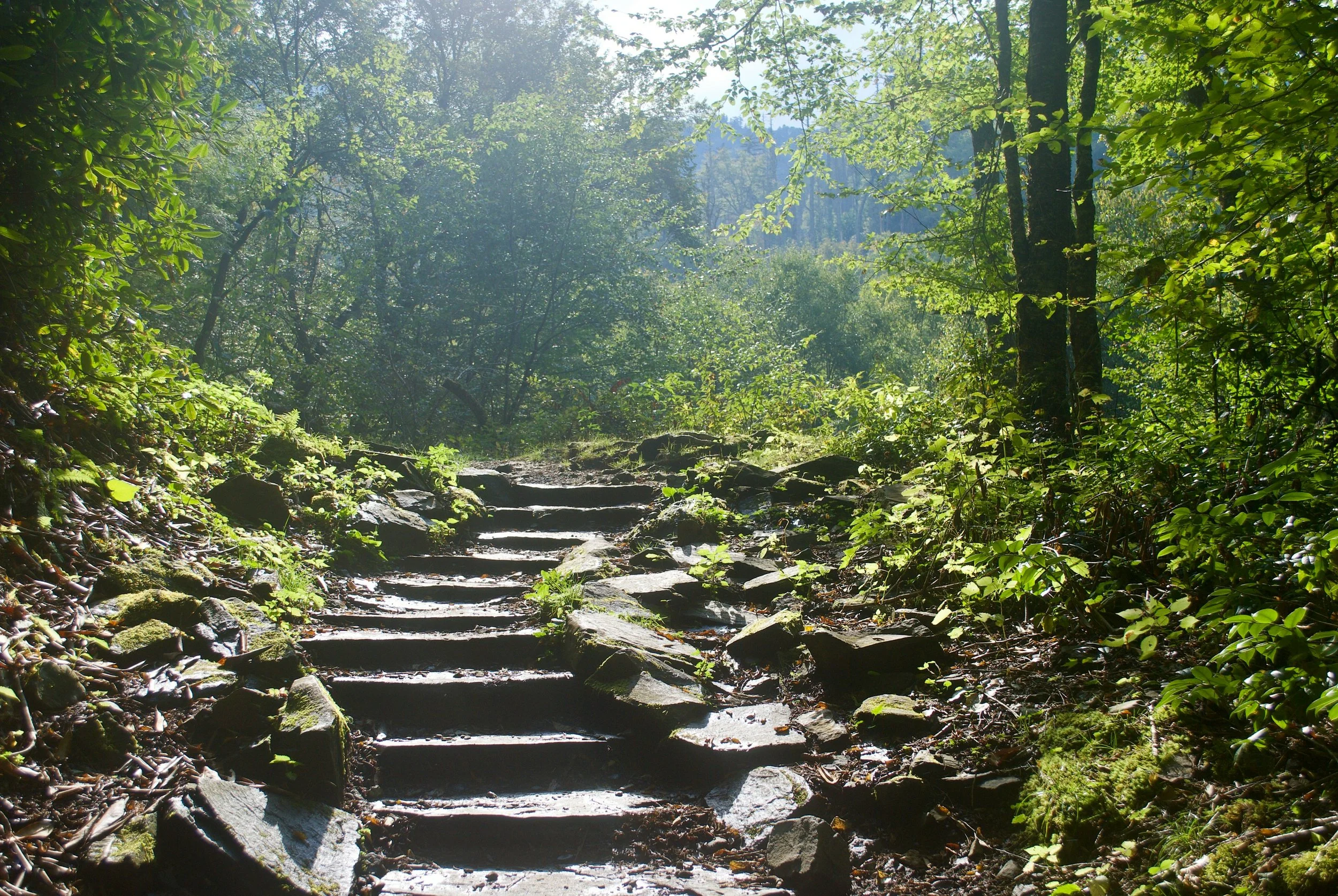 Are You a Client or a Visitor? The Lesson That Changed the Way I Practice Therapy