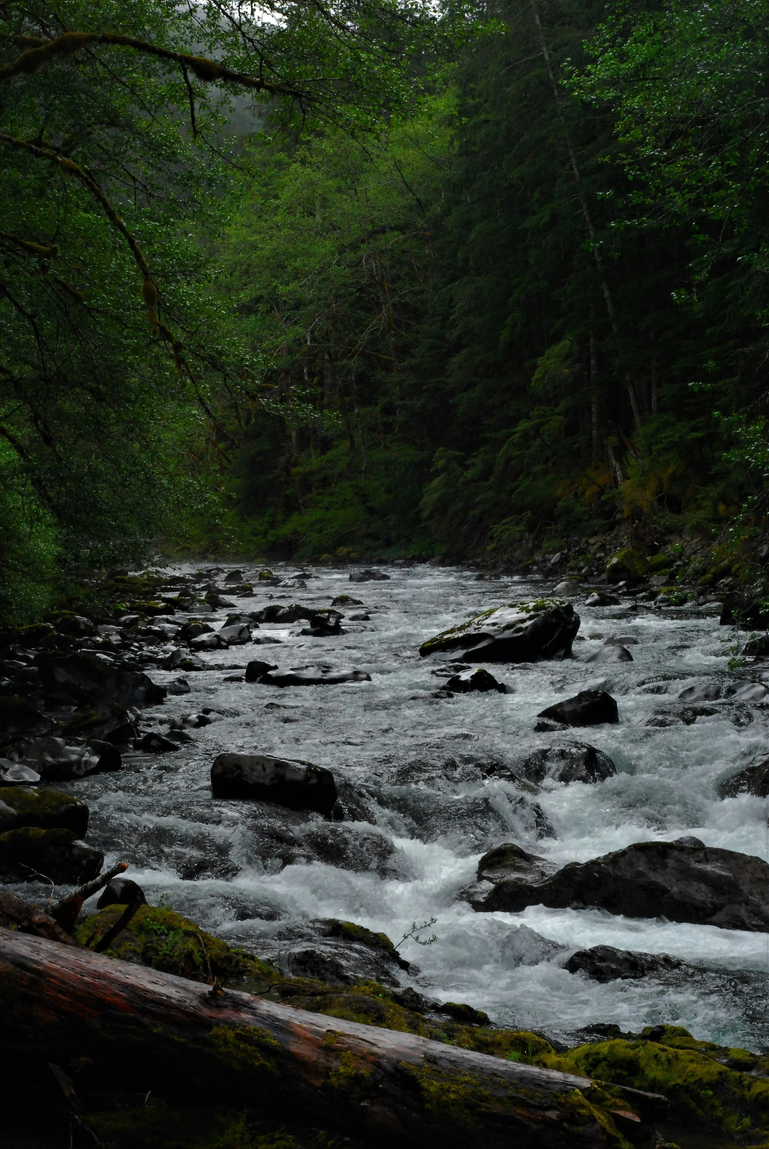 Life Is About Adaptation: A Lesson I Learned From a 90-Year-Old Woman