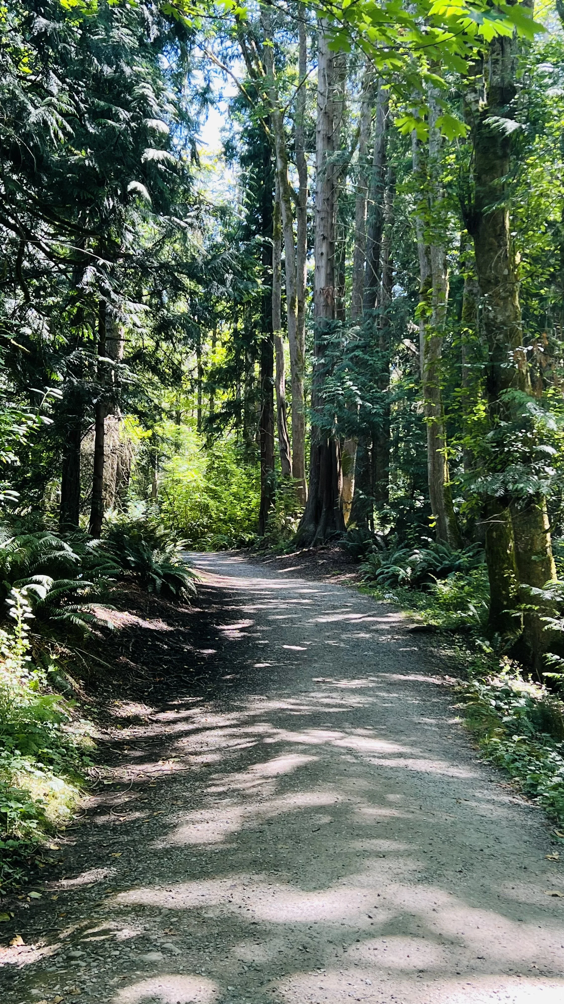 Same Trail, Different Vantage Point