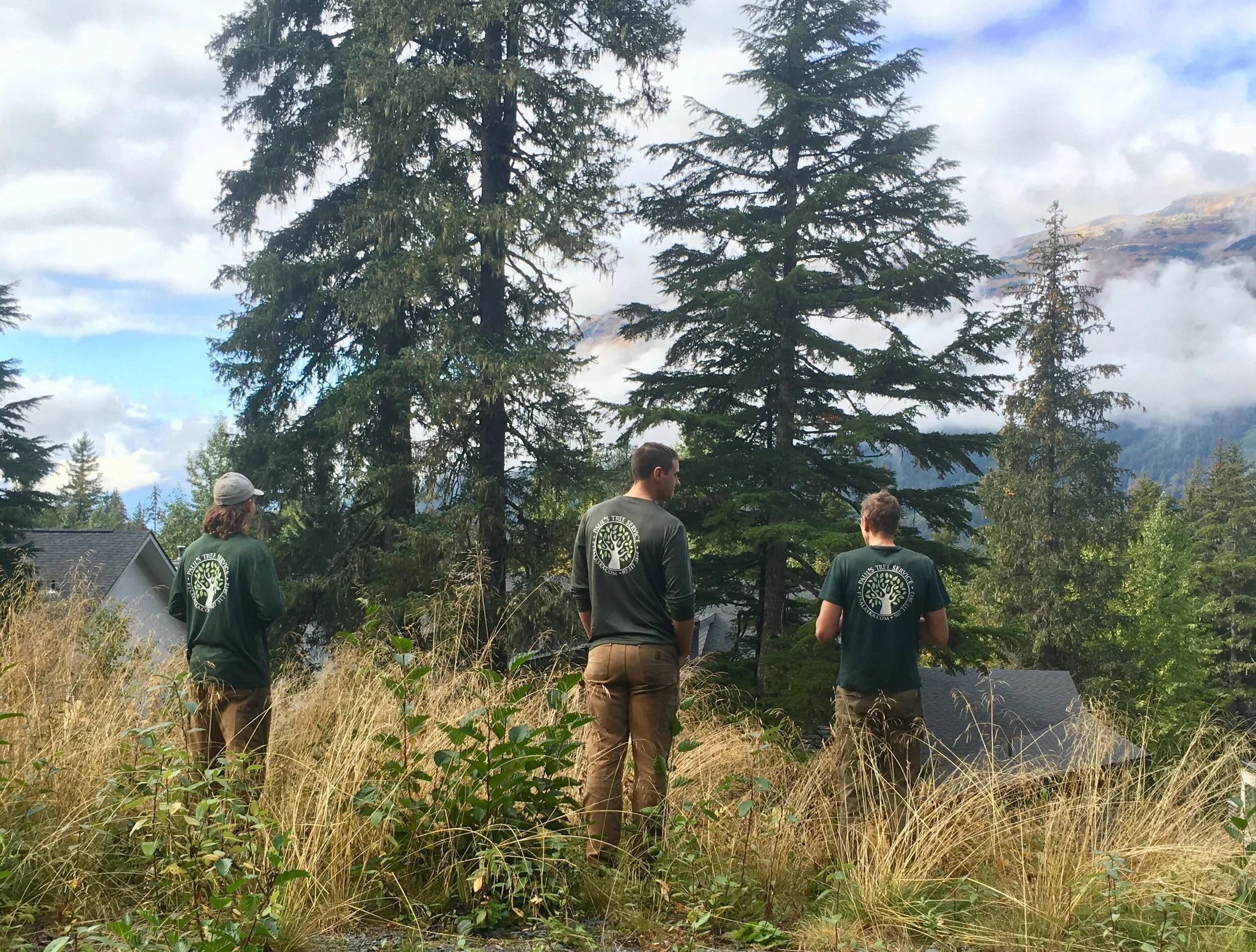 About — Spruce Up Anchorage