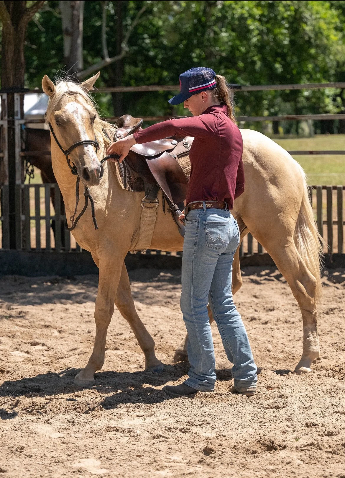 COLT STARTING COMPETITION 