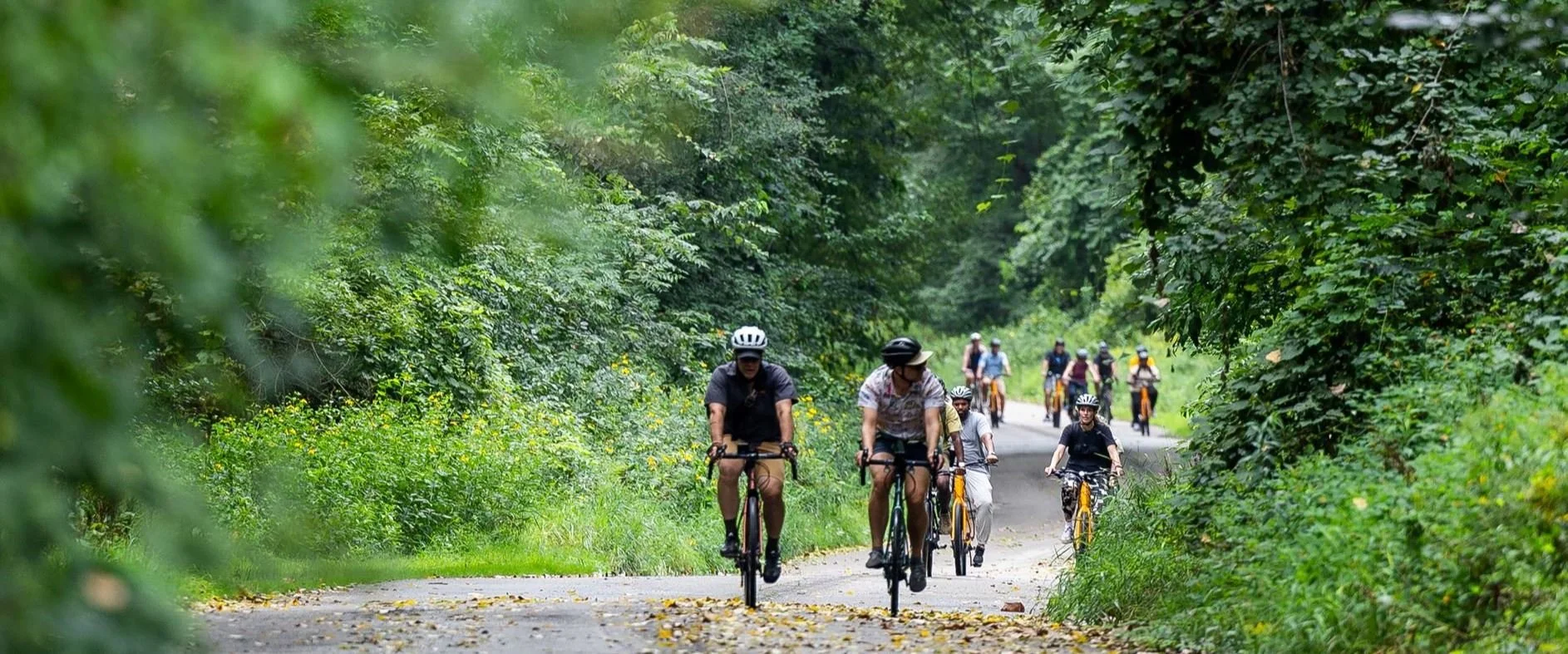 Survey for Kent County Parks