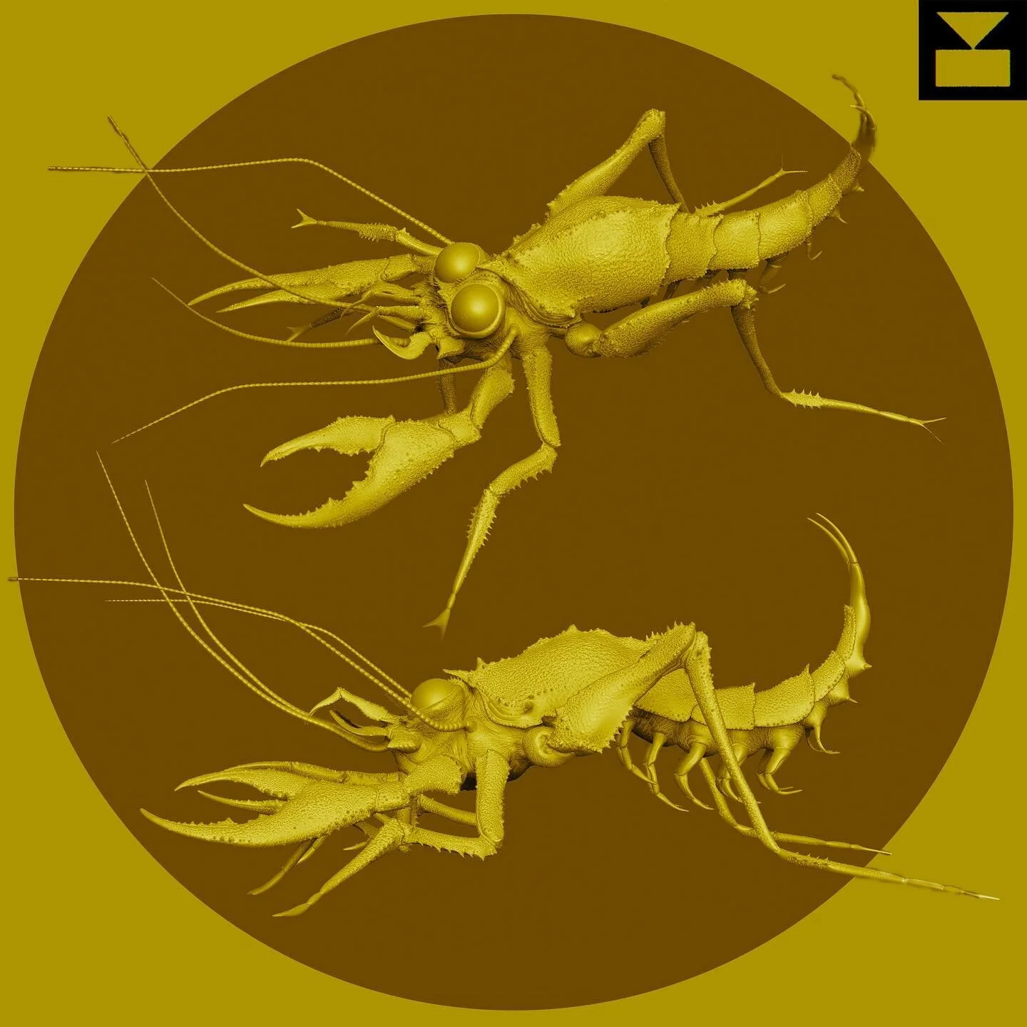 A spiny from the briny! 

#irwin, #irwinatl, #musicvideoatlanta, #atlantafilm, #vfx, #showreel, #commercial, #film, #3danimation, #cganimation, #vfxsupervision, #reel, #creature, #concept, #zbrush, #pixologic, #weird, #animation, #creativedirection, 