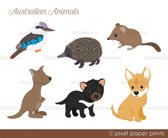 Australian Animals - Clip Art — PixelPaperPrints