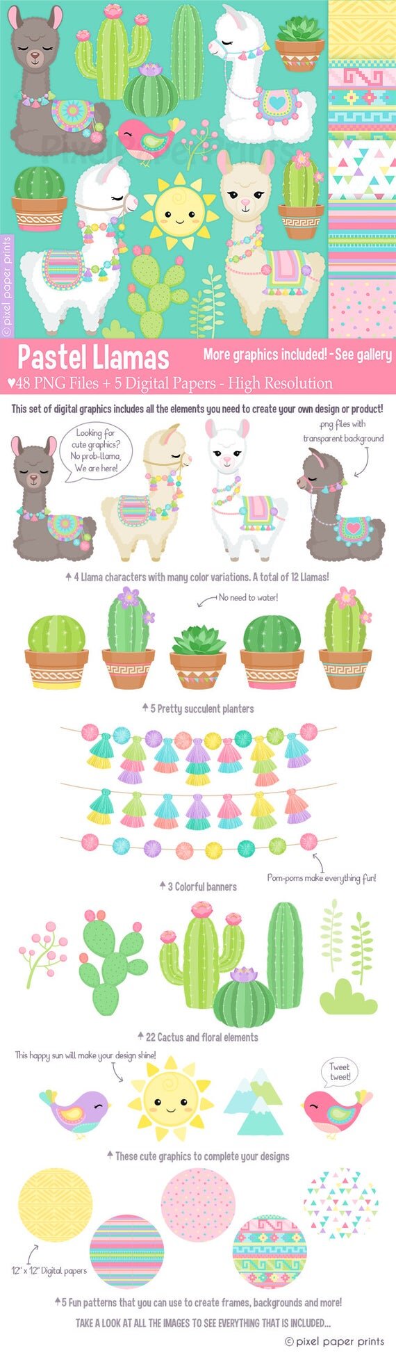 https://i.etsystatic.com/6257146/r/il/868165/2206799170/il_570xN.2206799170_j2vp.jpg