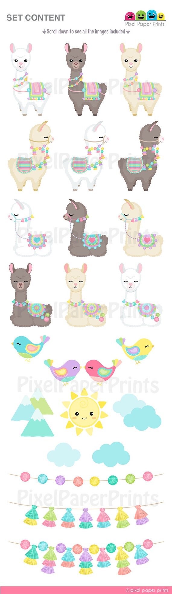 https://i.etsystatic.com/6257146/r/il/9ed921/2206799224/il_570xN.2206799224_udse.jpg