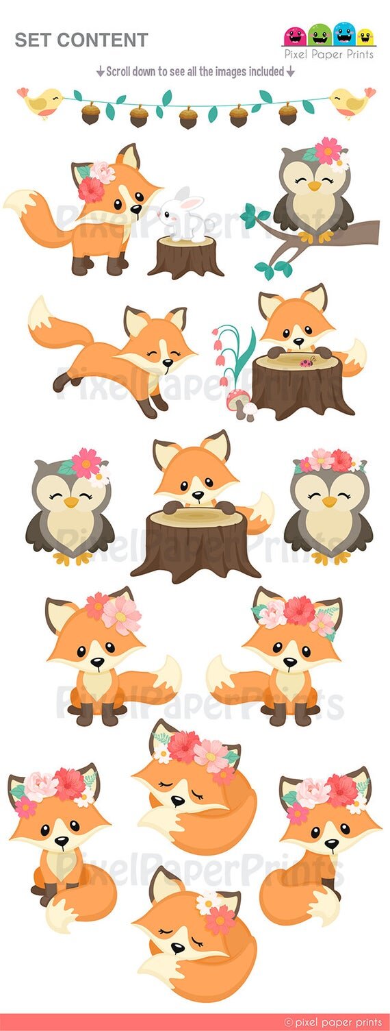 https://i.etsystatic.com/6257146/r/il/fdbdf4/2224540129/il_570xN.2224540129_jdj6.jpg