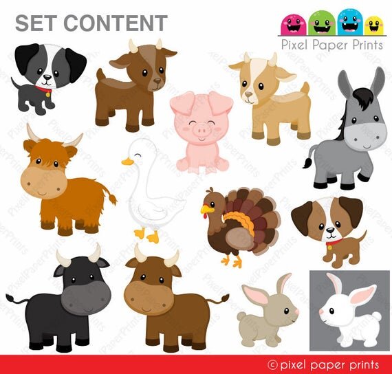 https://i.etsystatic.com/6257146/r/il/0c3d83/2318308266/il_570xN.2318308266_pp54.jpg