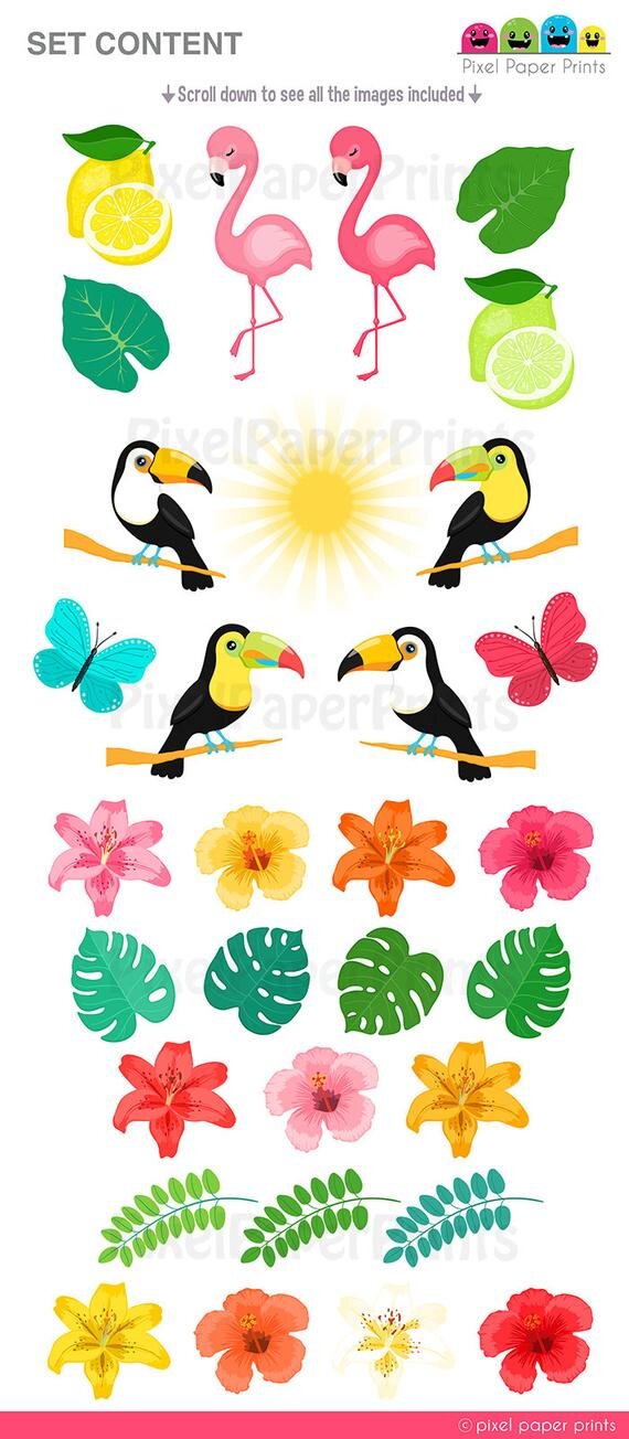 https://i.etsystatic.com/6257146/r/il/cb8d3b/1979639363/il_570xN.1979639363_1ung.jpg