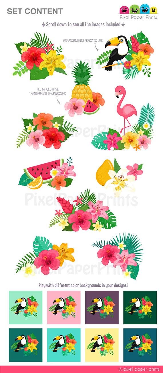 https://i.etsystatic.com/6257146/r/il/866a68/1932103884/il_570xN.1932103884_c13p.jpg