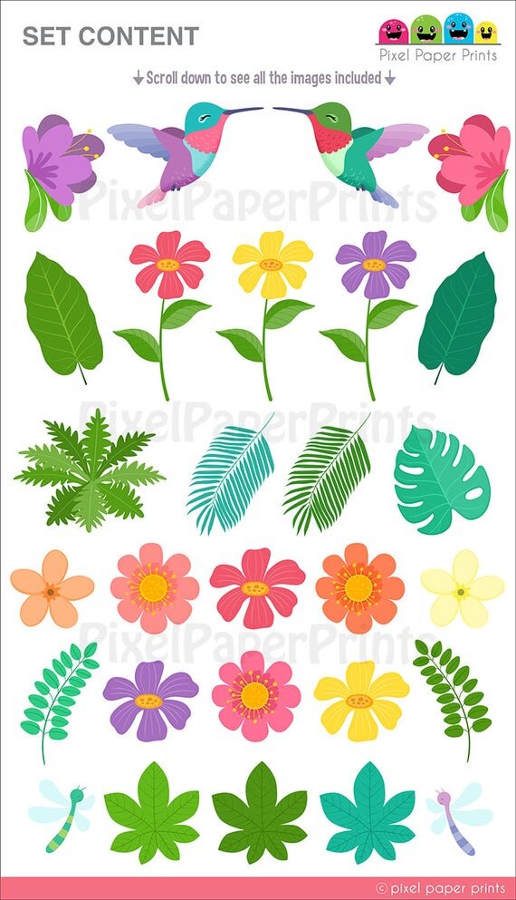 https://i.etsystatic.com/6257146/r/il/5573c2/1968274182/il_570xN.1968274182_cl81.jpg