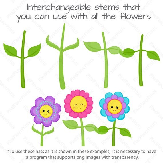 https://i.etsystatic.com/6257146/r/il/49fdbe/492876769/il_570xN.492876769_58uu.jpg