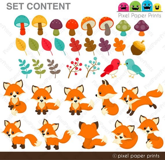https://i.etsystatic.com/6257146/r/il/af3131/1145329529/il_570xN.1145329529_rbor.jpg