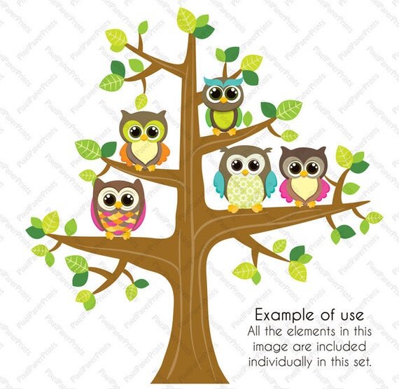 https://i.etsystatic.com/6257146/r/il/20143d/261711975/il_570xN.261711975.jpg