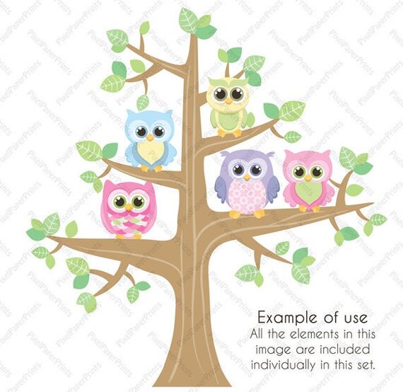 https://i.etsystatic.com/6257146/r/il/dda55e/251431439/il_570xN.251431439.jpg