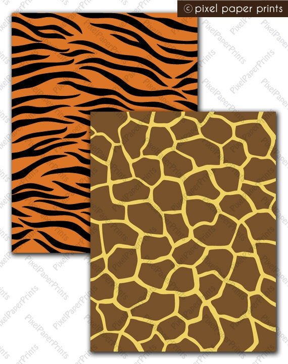 https://i.etsystatic.com/6257146/r/il/048b58/327829563/il_570xN.327829563.jpg