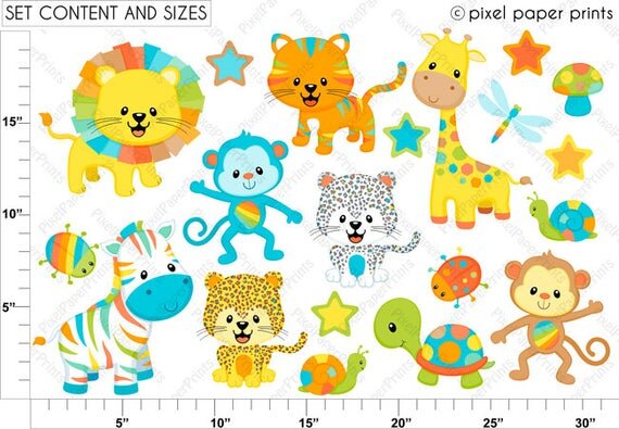 https://i.etsystatic.com/6257146/r/il/bdda01/650893441/il_570xN.650893441_dwsr.jpg