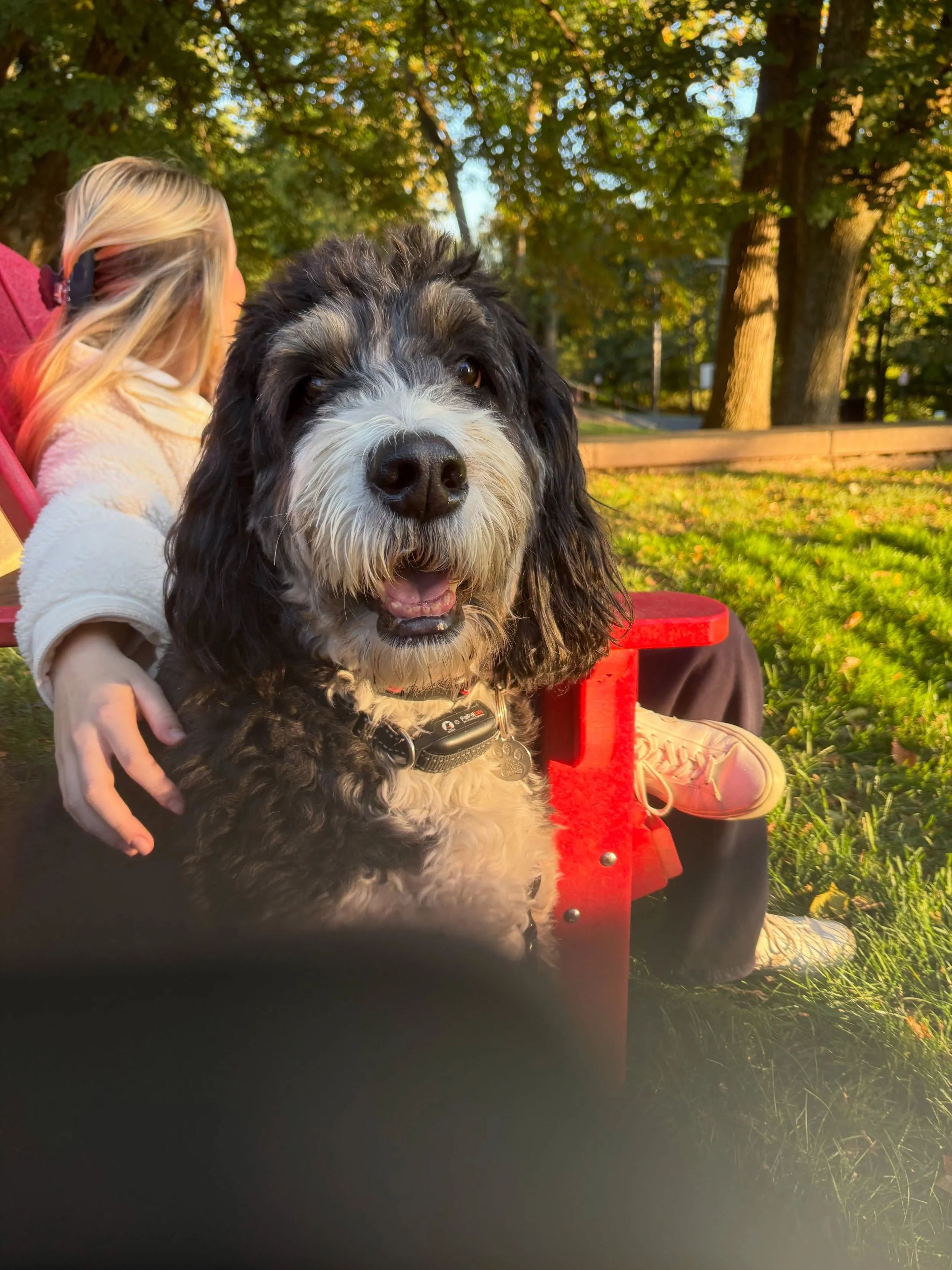 A girl that didn&rsquo;t want her pic taken and a dog who did 💛. 

I was asked what my peach and pit were today and I never heard of this expression&hellip;&hellip;. My peach was this :).
Sitting outside 🍁🍂 with my girls ❤️

What was your peach an