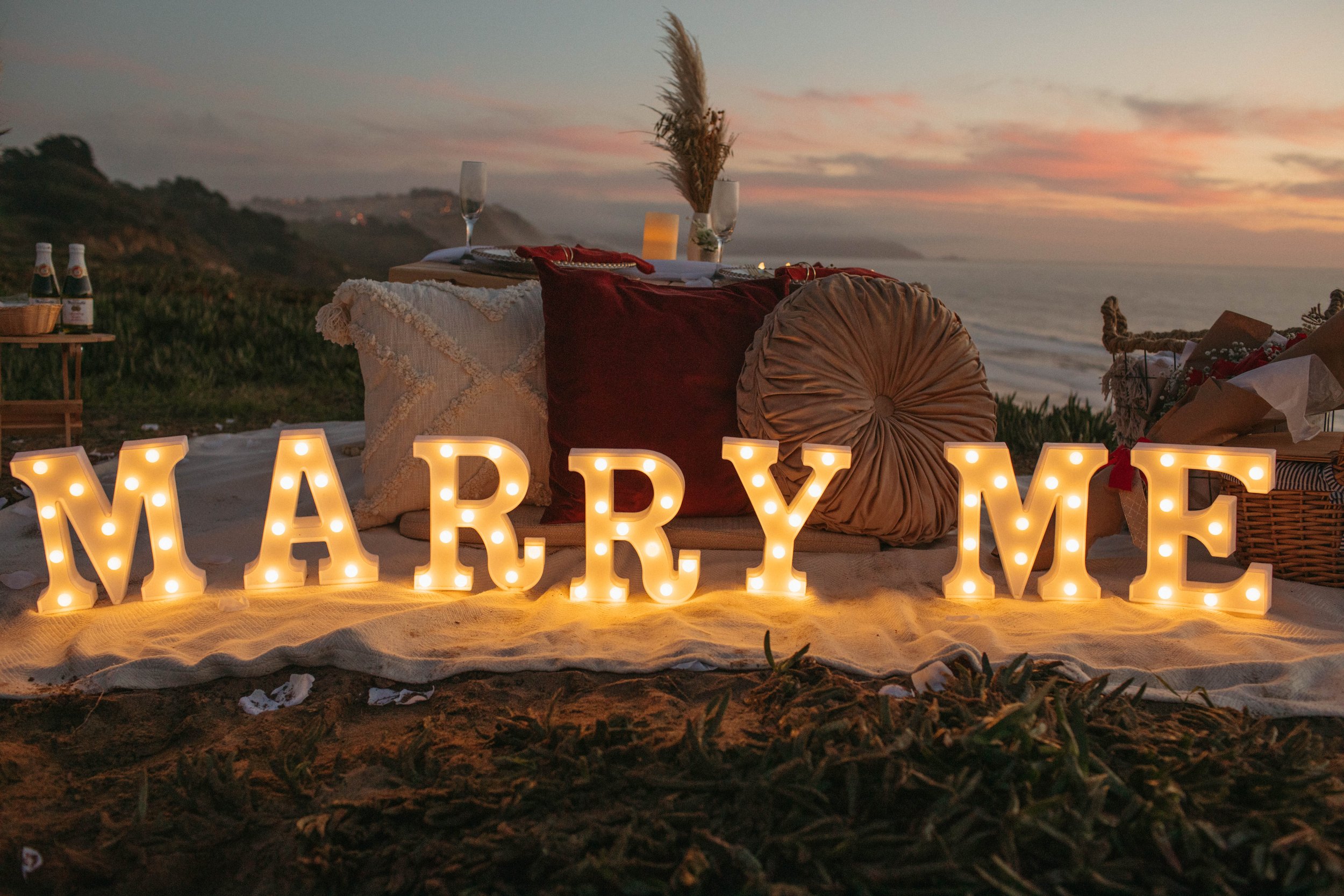 Paws&Picnics-Proposal-56.jpg