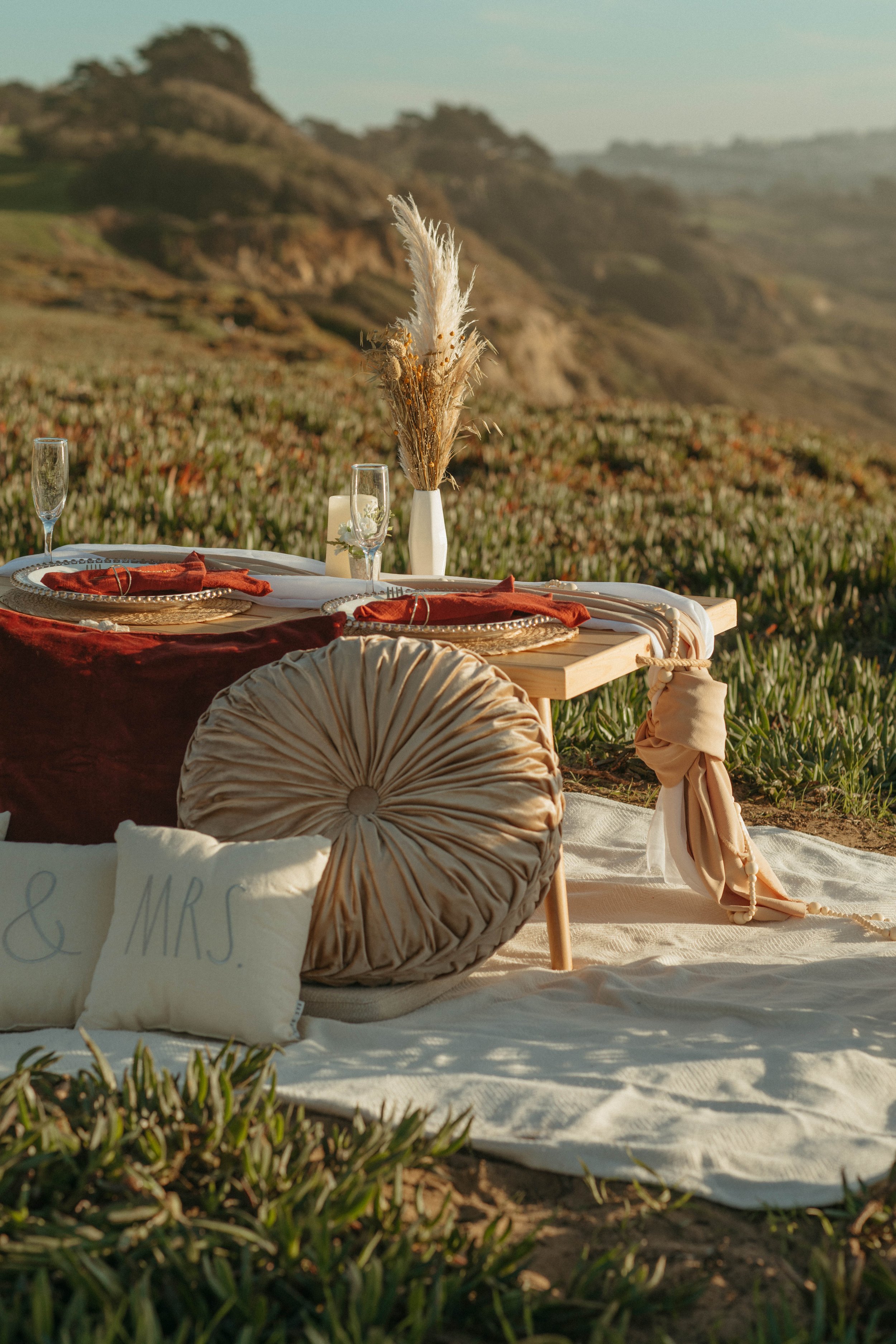 Paws&Picnics-Proposal-2.jpg