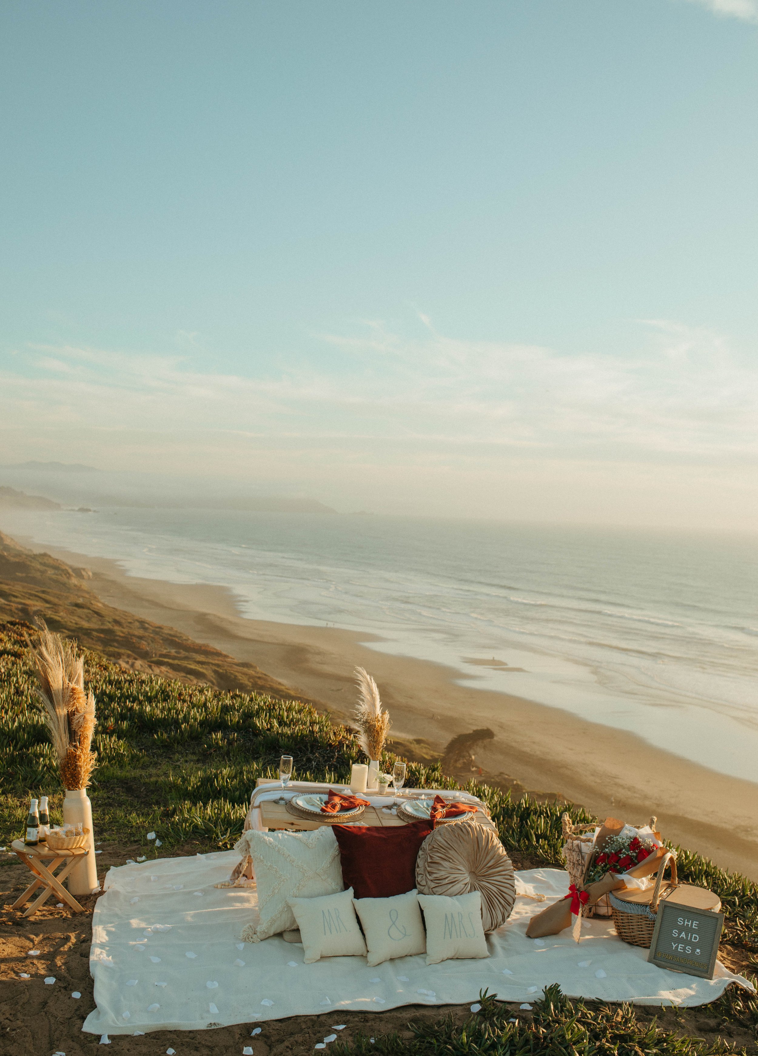 Paws&Picnics-Proposal-19.jpg