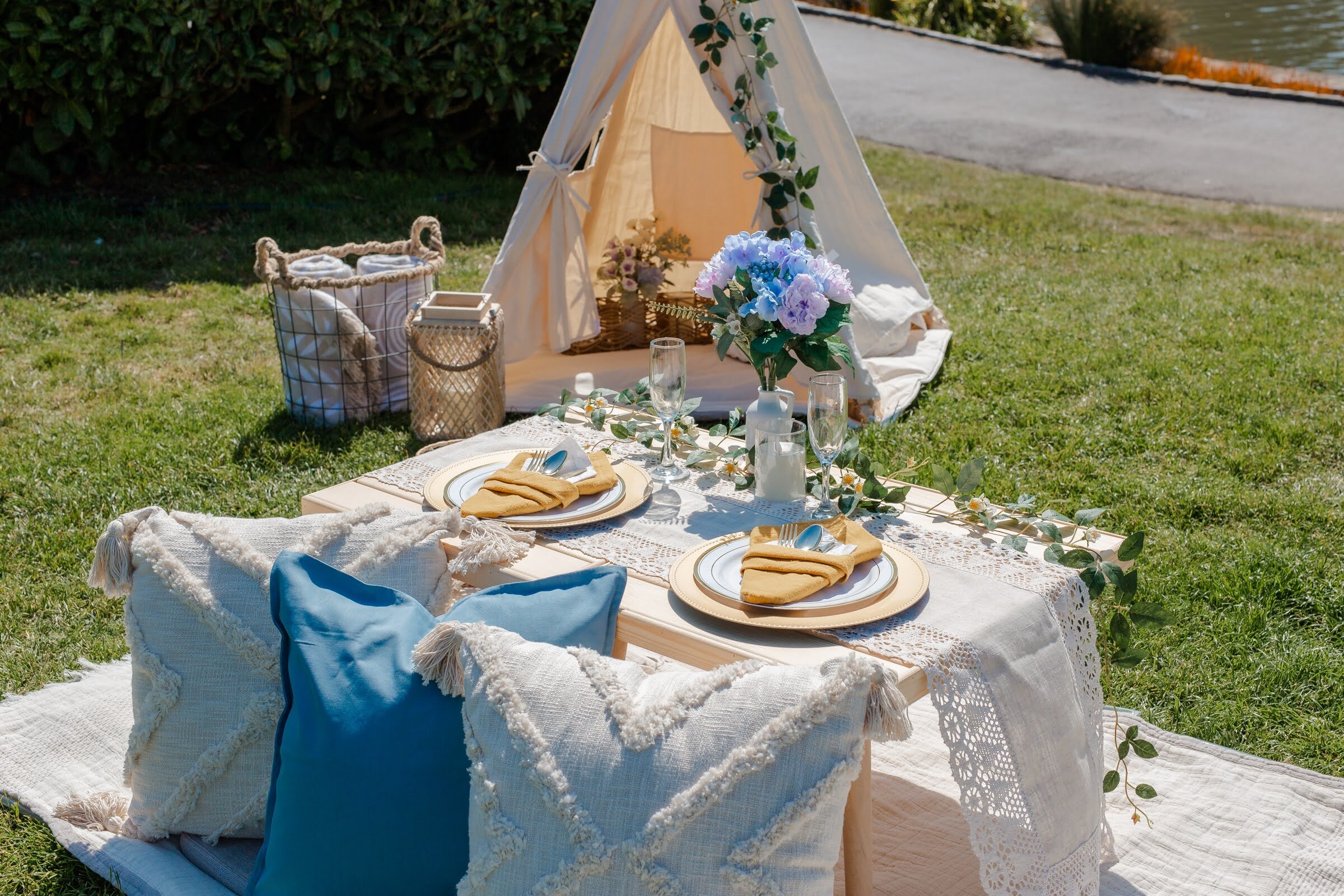 P&P - blue setup.jpg