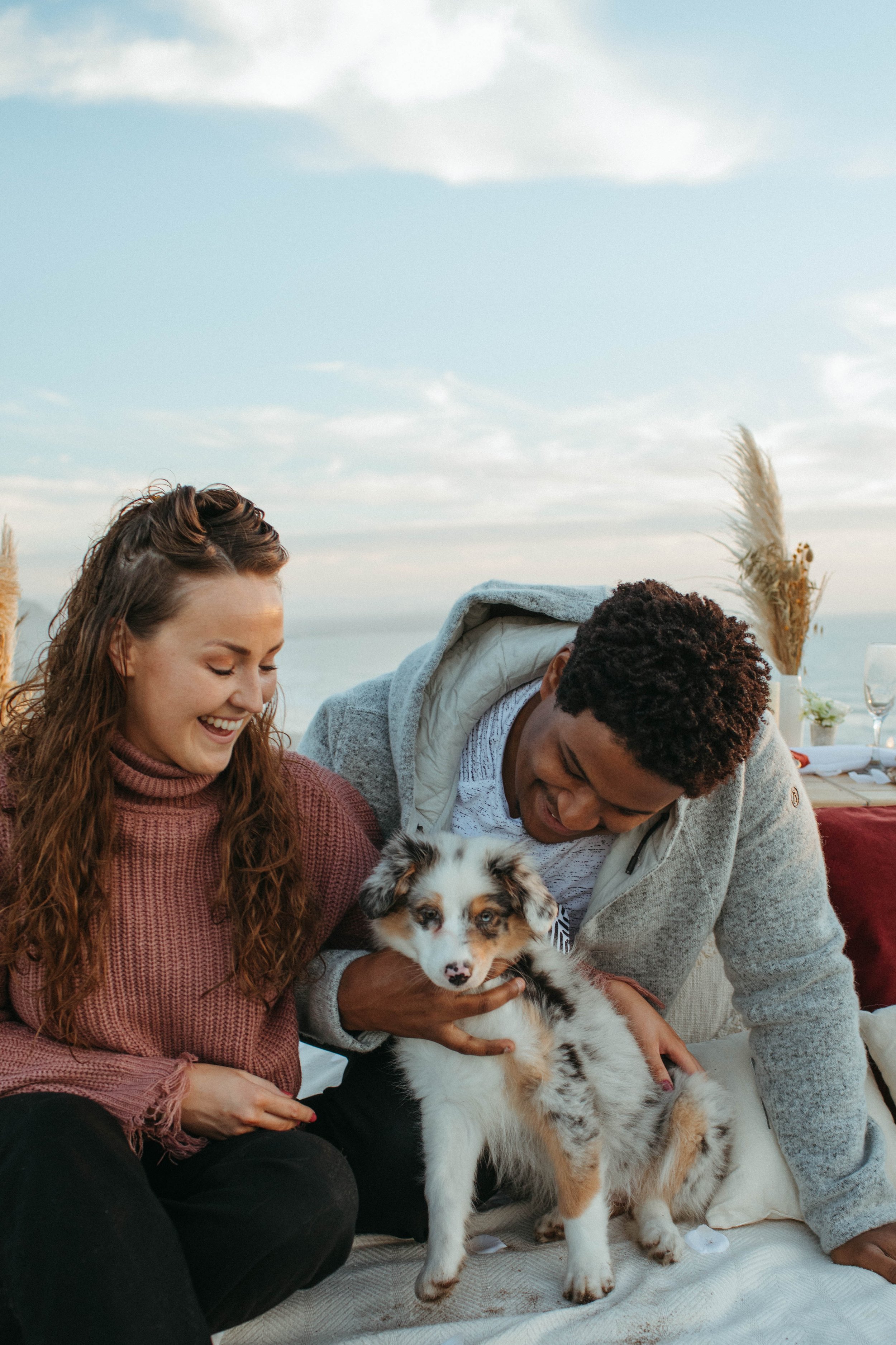 Paws&Picnics-Proposal-26.jpg