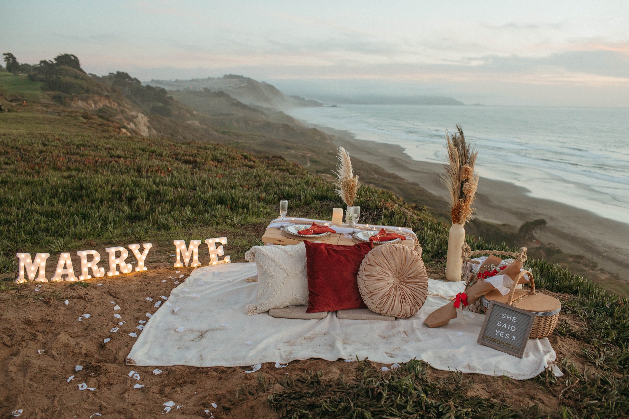 Paws&Picnics-Proposal-53.jpg