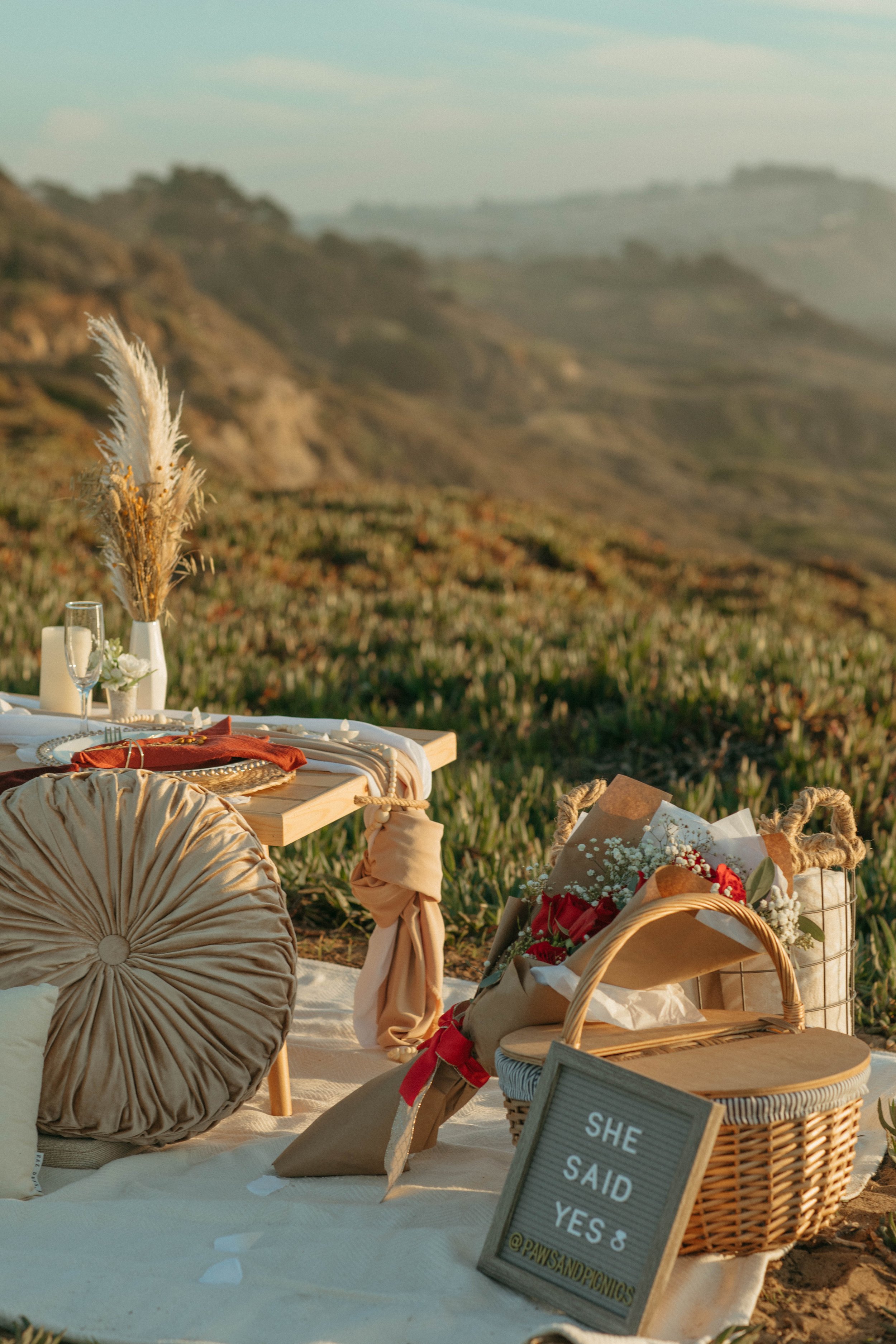 Paws&Picnics-Proposal-14.jpg