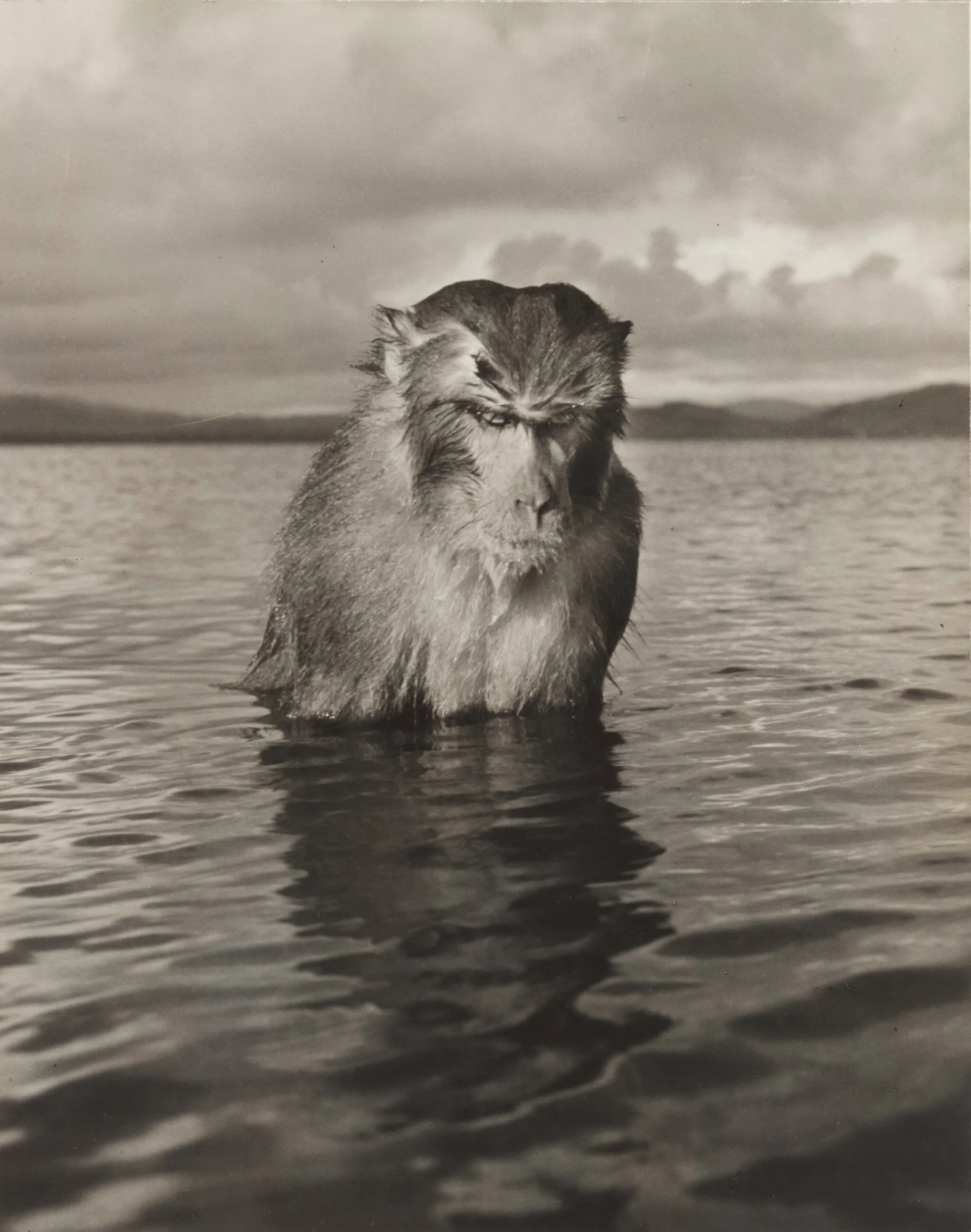 Episode 5: The Monkey on Her Back