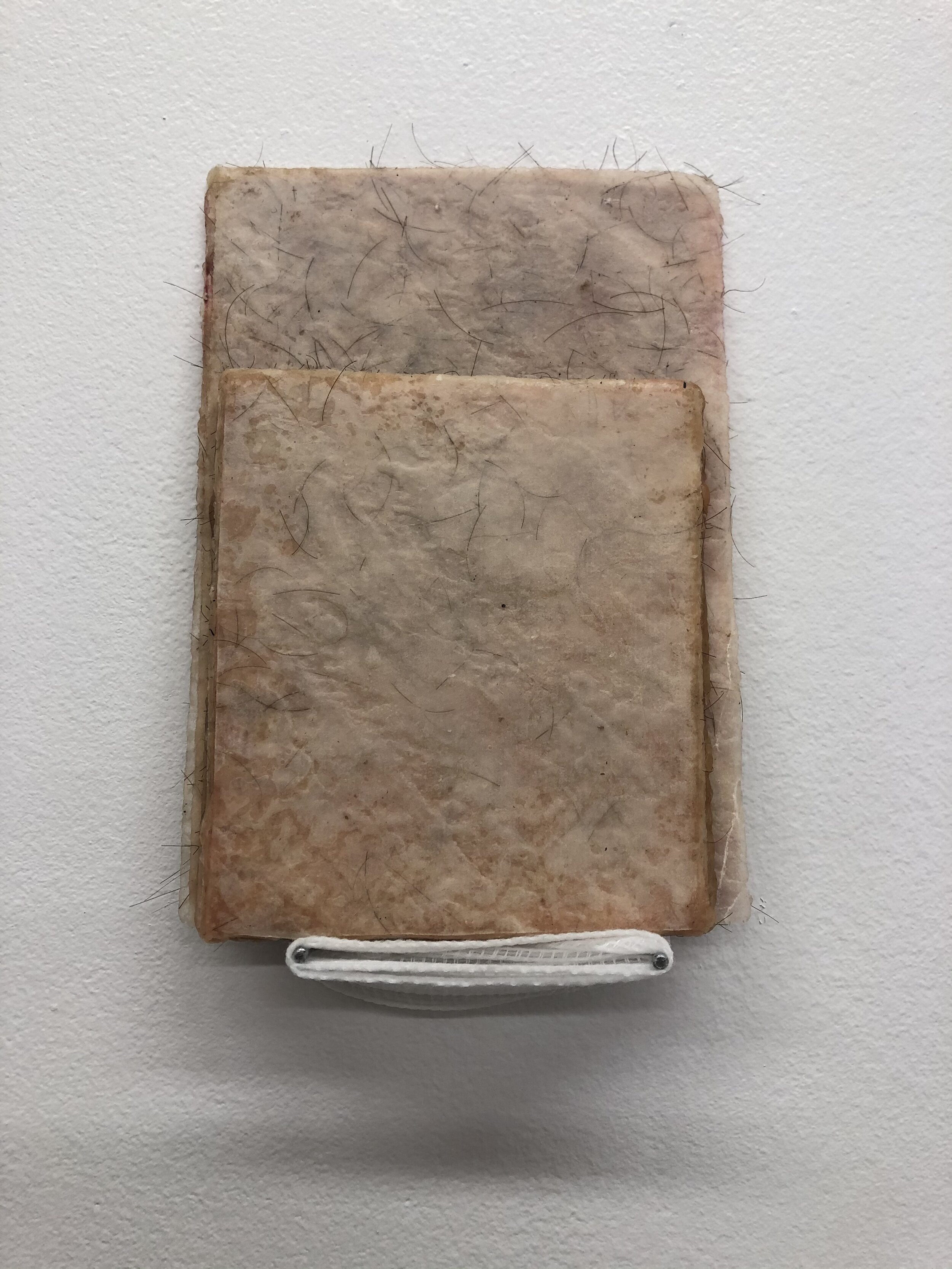 Encyclopedia, 2020, Viscosity print on mulberry paper, encaustic, hair.