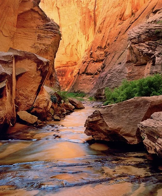 A narrow canyon with tall, orange-red rock walls and a flowing stream with green bushes on one side.