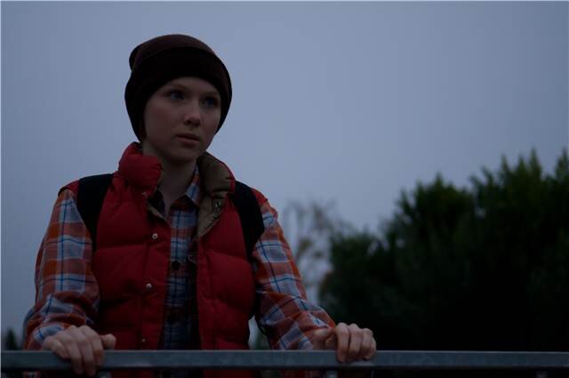 molly at the fence.jpg