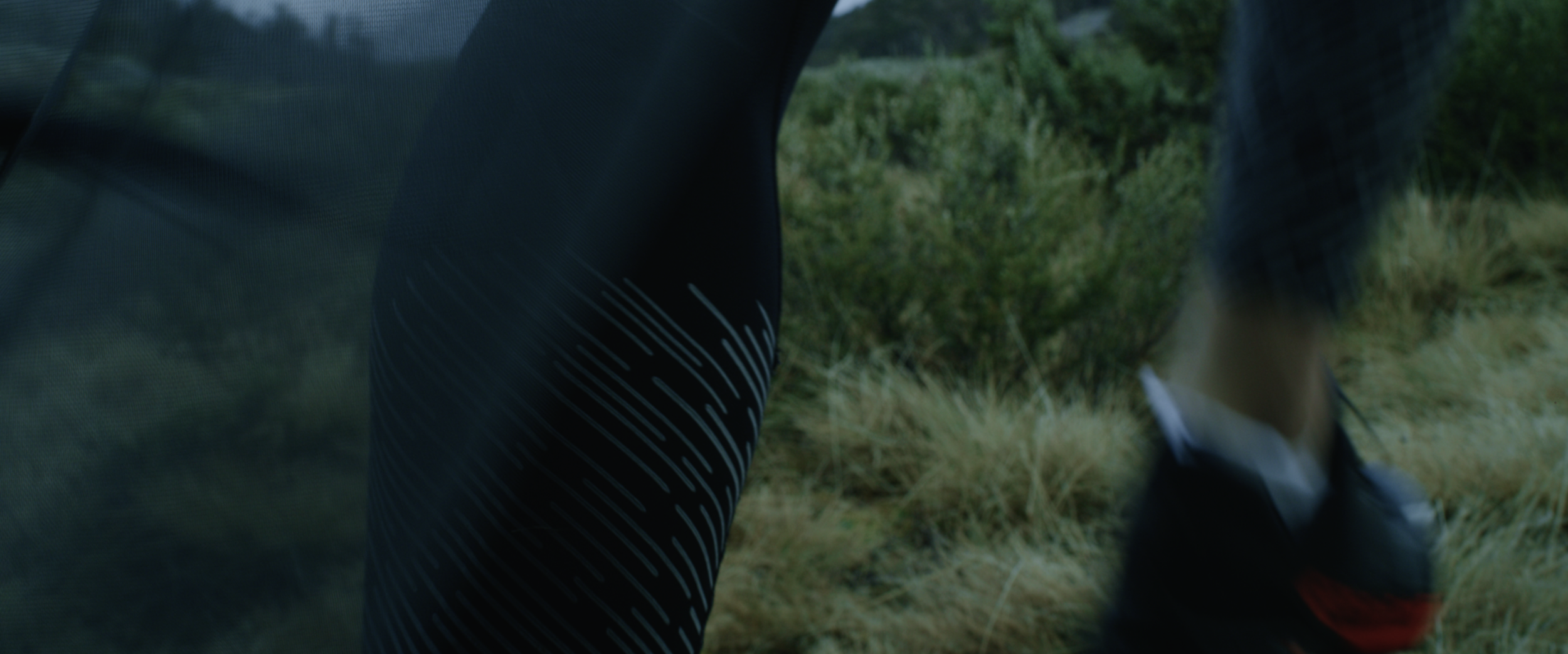Screen Shot 2019-10-11 at 1.51.29 pm.png