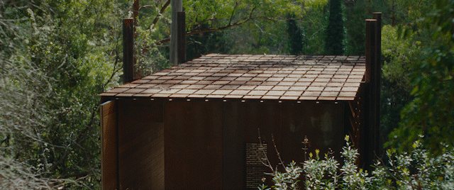 THE LOCAL PROJECT