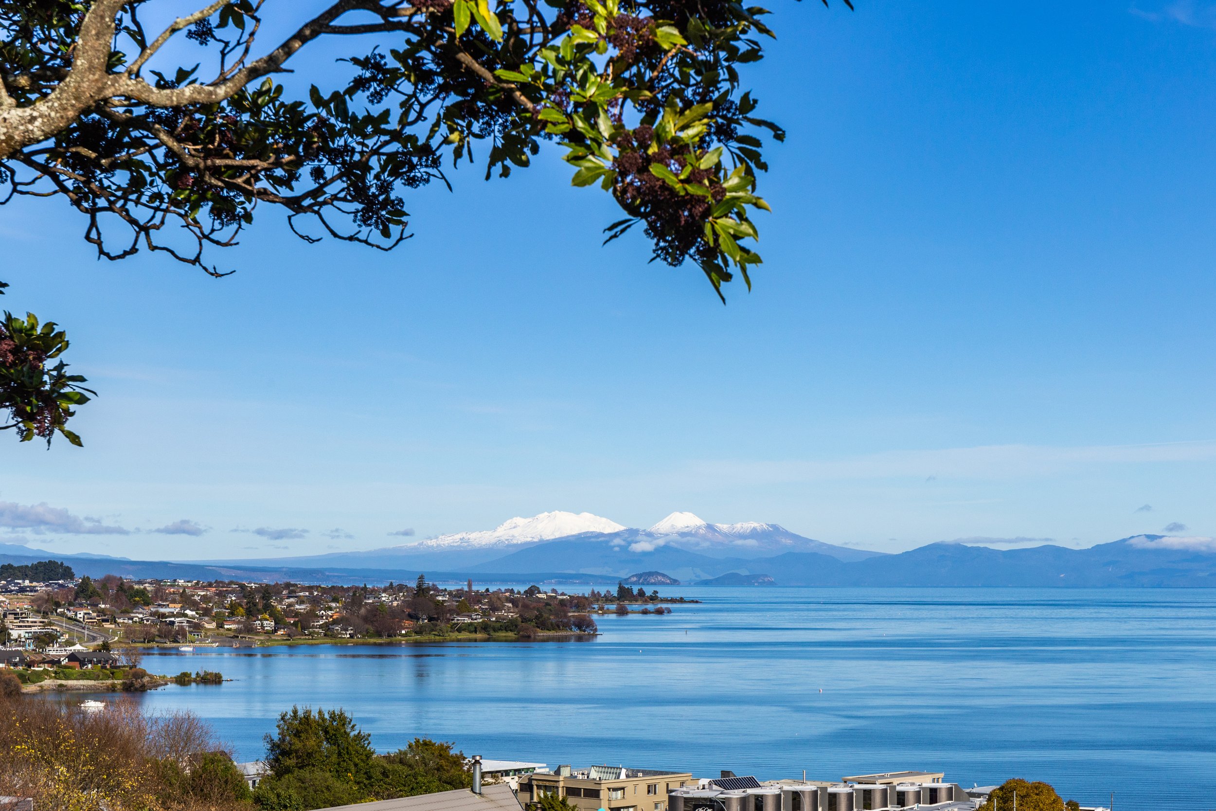 Ngaruahoe Street 70 - 03.jpg