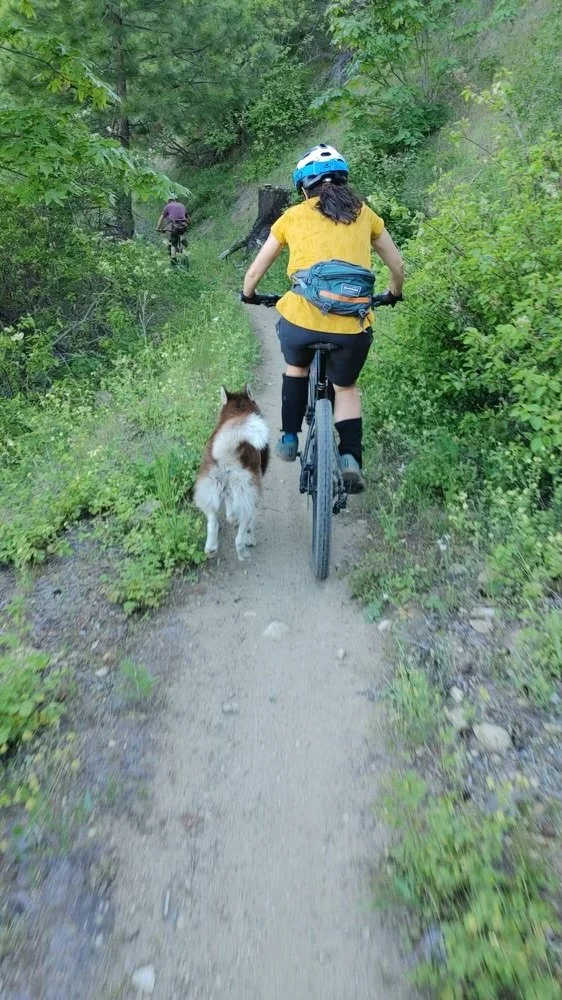 image7.jpeg