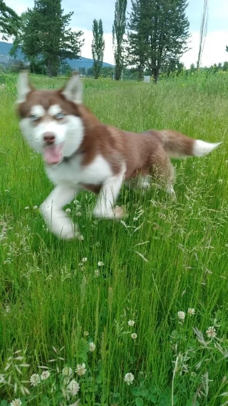 image8.jpeg