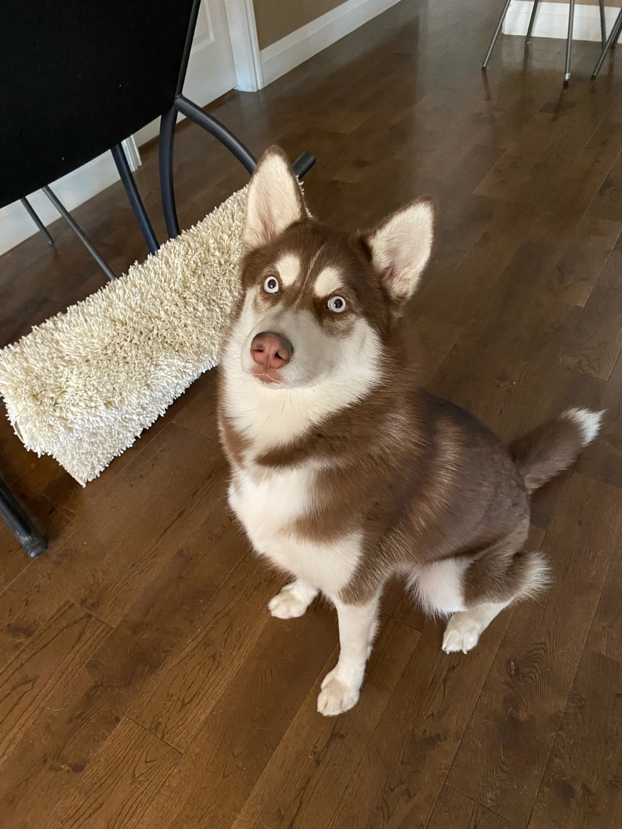 Irie (reserved)