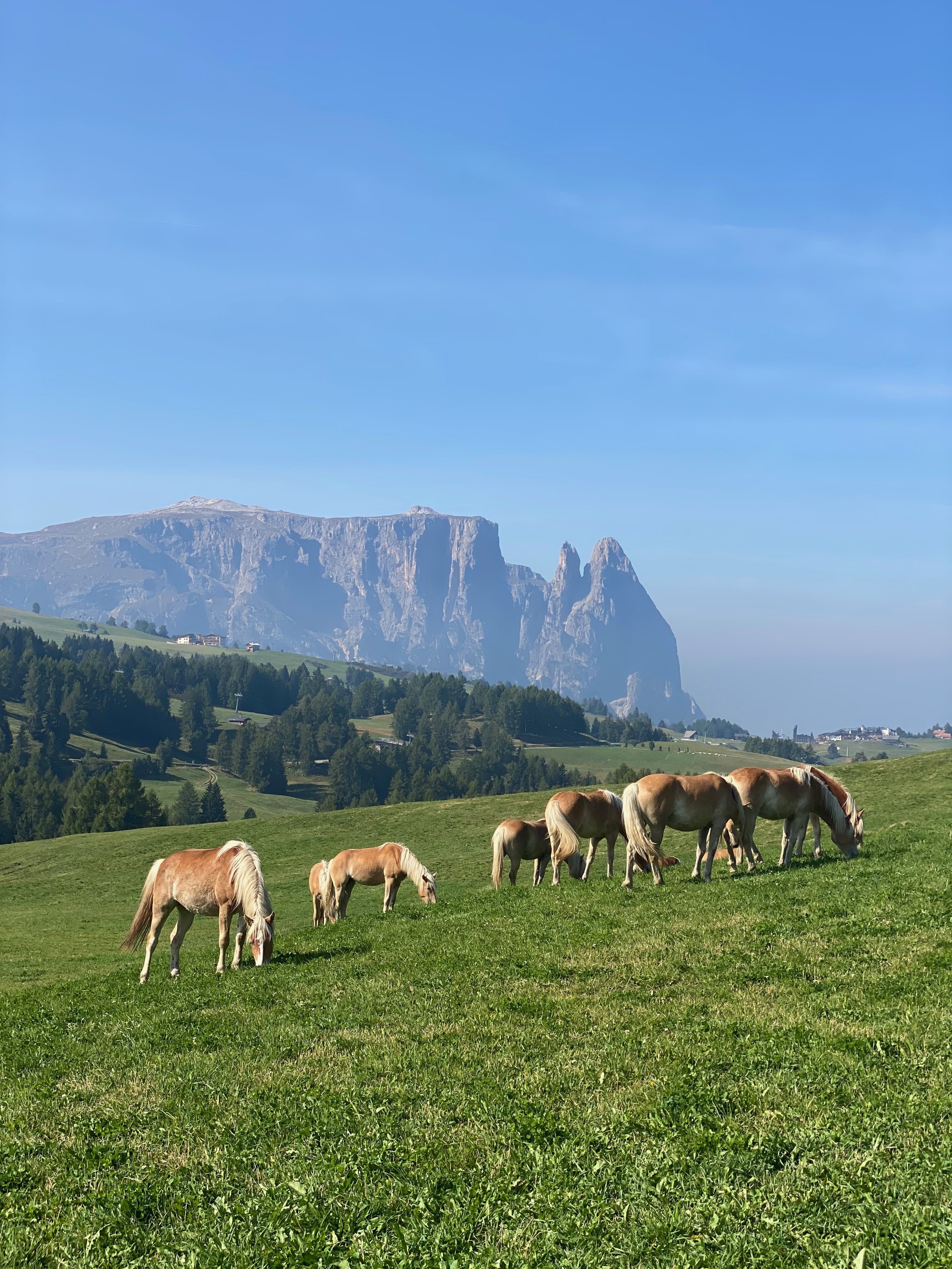Hike Through Idyllic Meadows