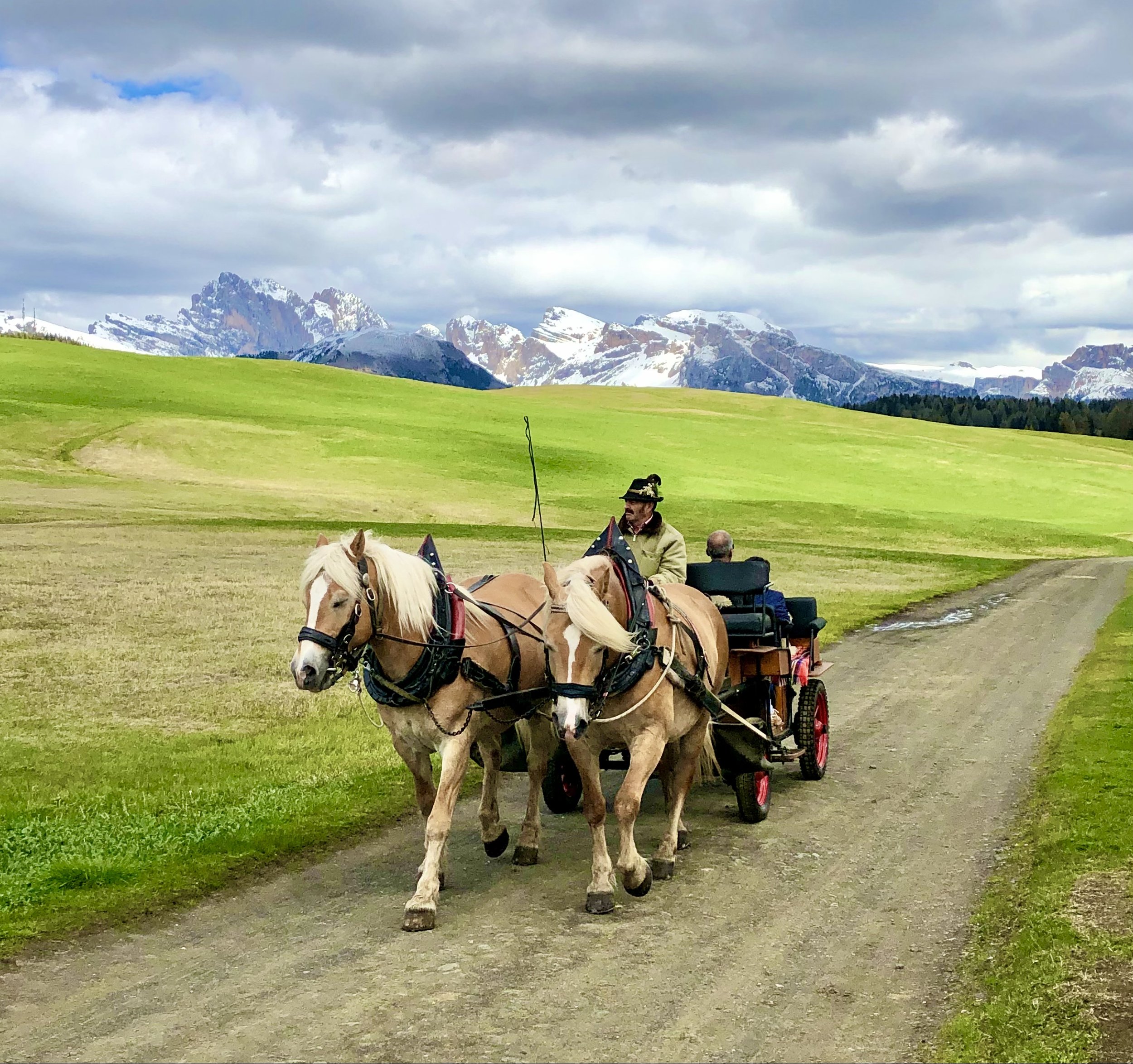 Go for a Carriage Ride