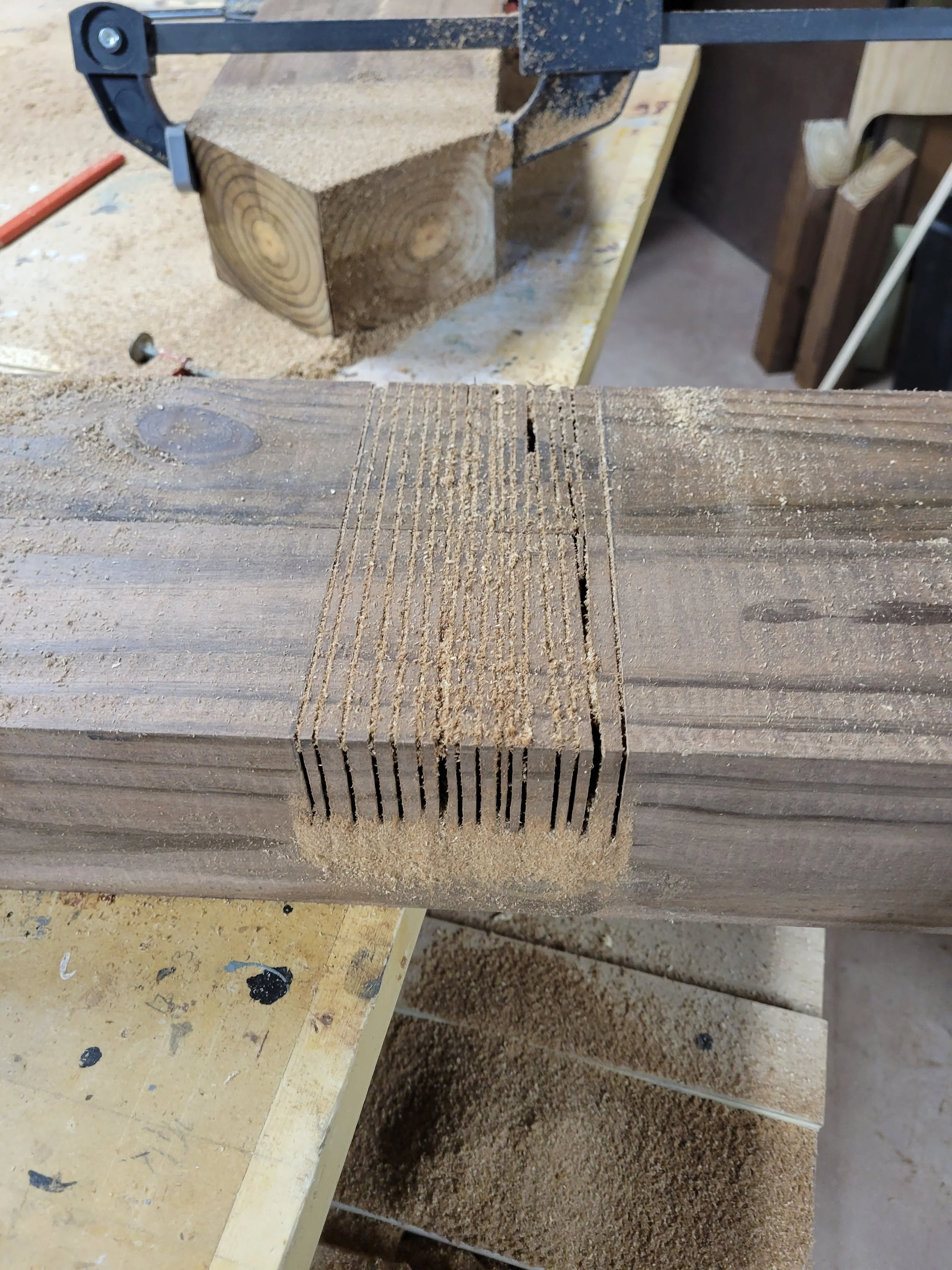 lap cuts.jpg