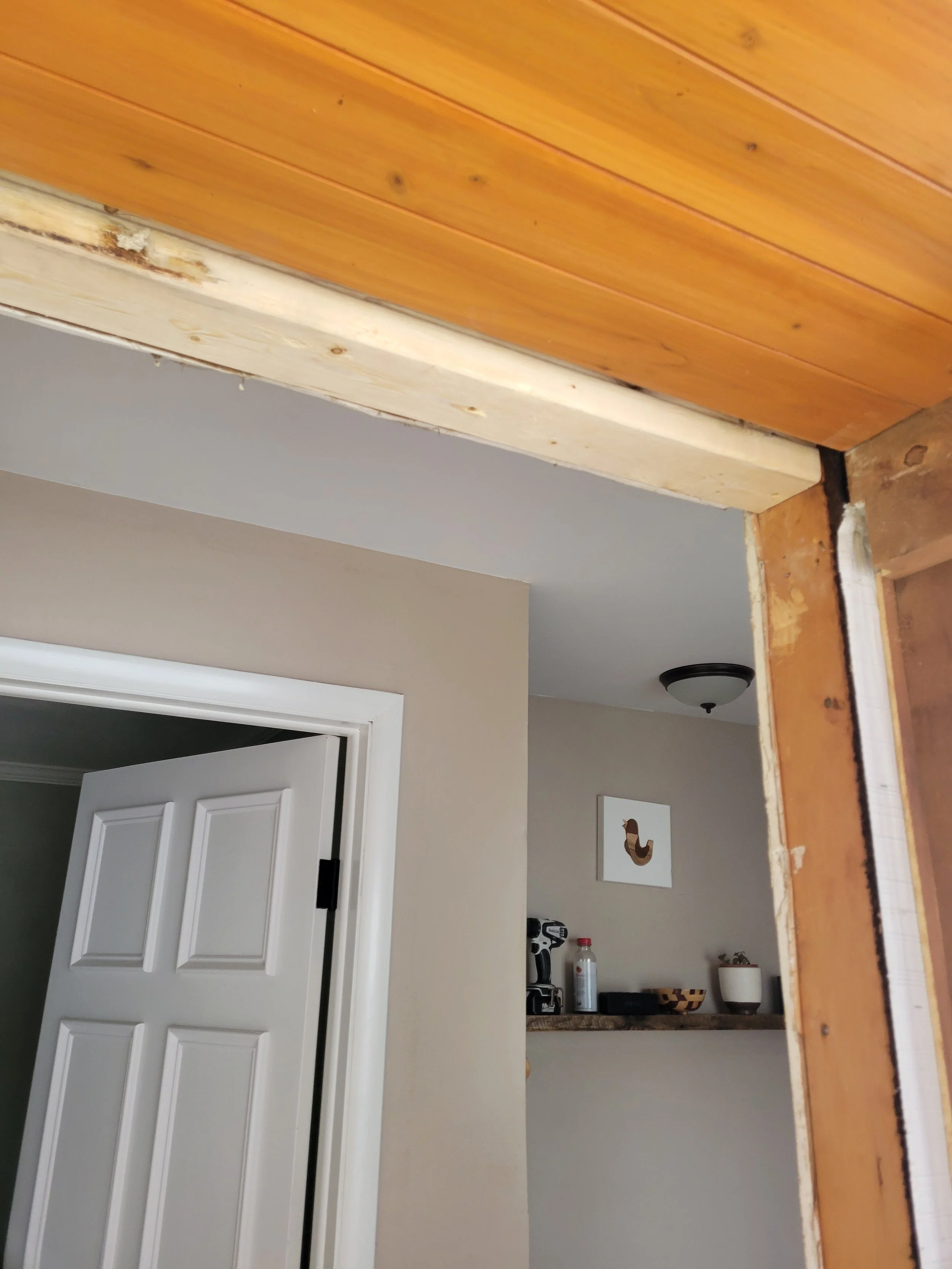 6 size opening to new door.jpg