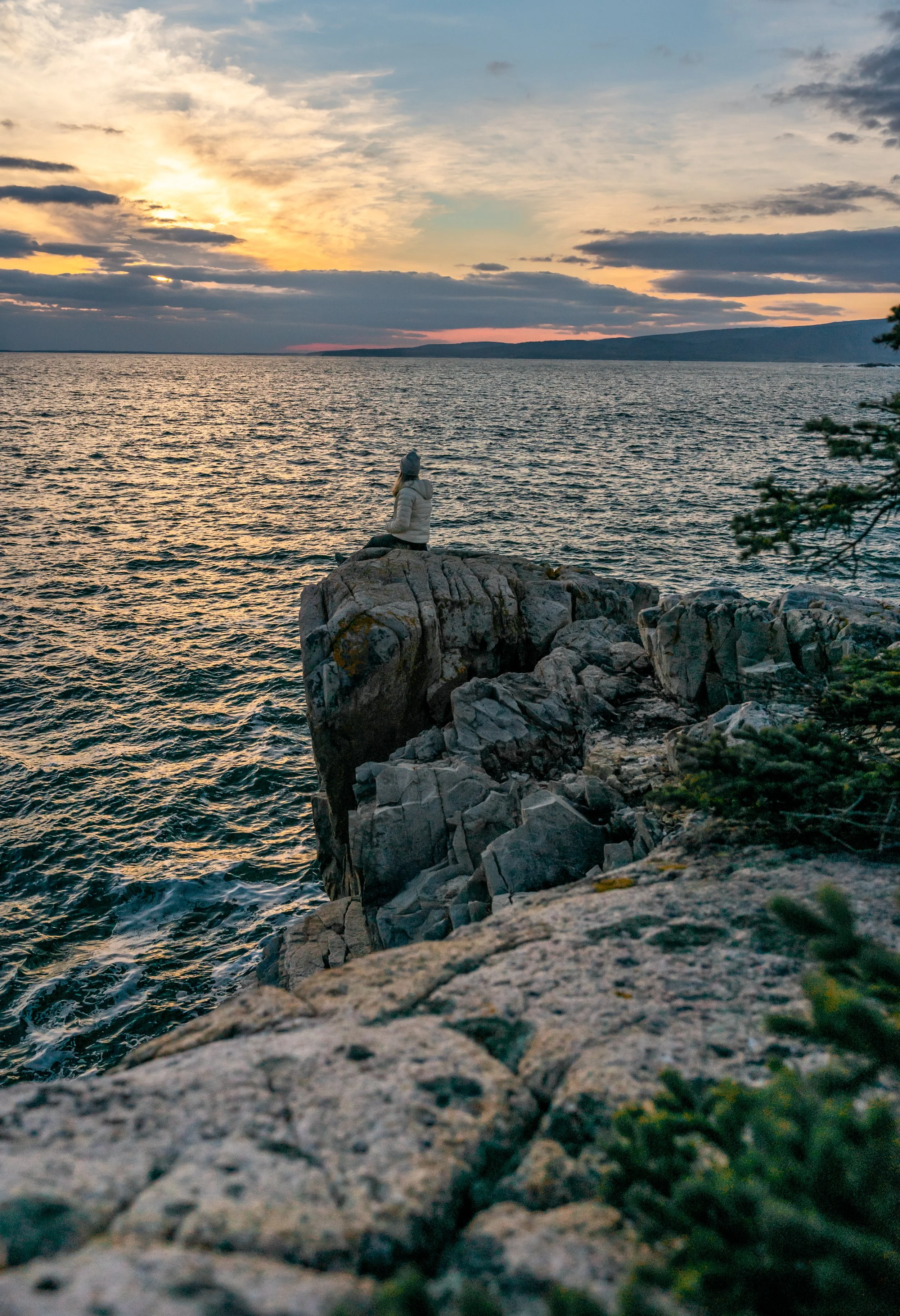 _DSC3637.jpg