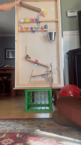 Rube Goldberg machine illustrating resilience and continuing despite setbacks