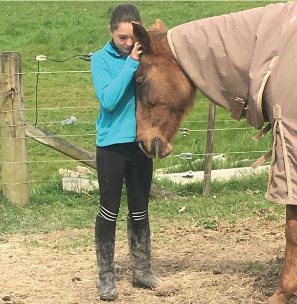 horse and cancer healing