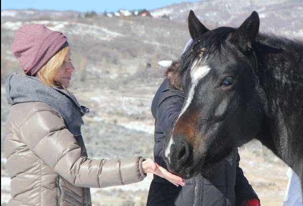animal energy healing
