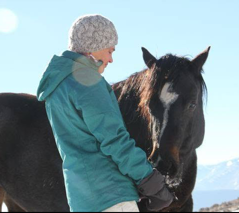 healing energy horses